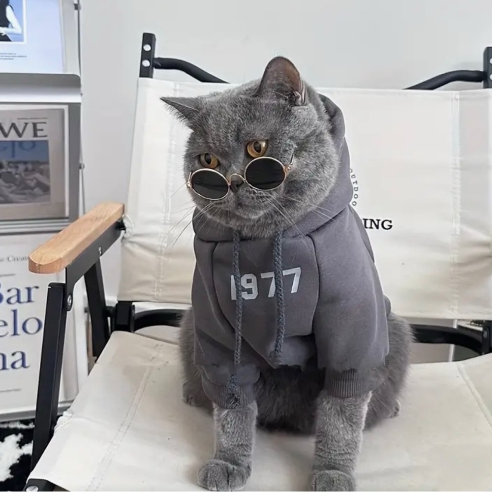 ESSENTIALS 1977 Hoodie | Cats or Dogs